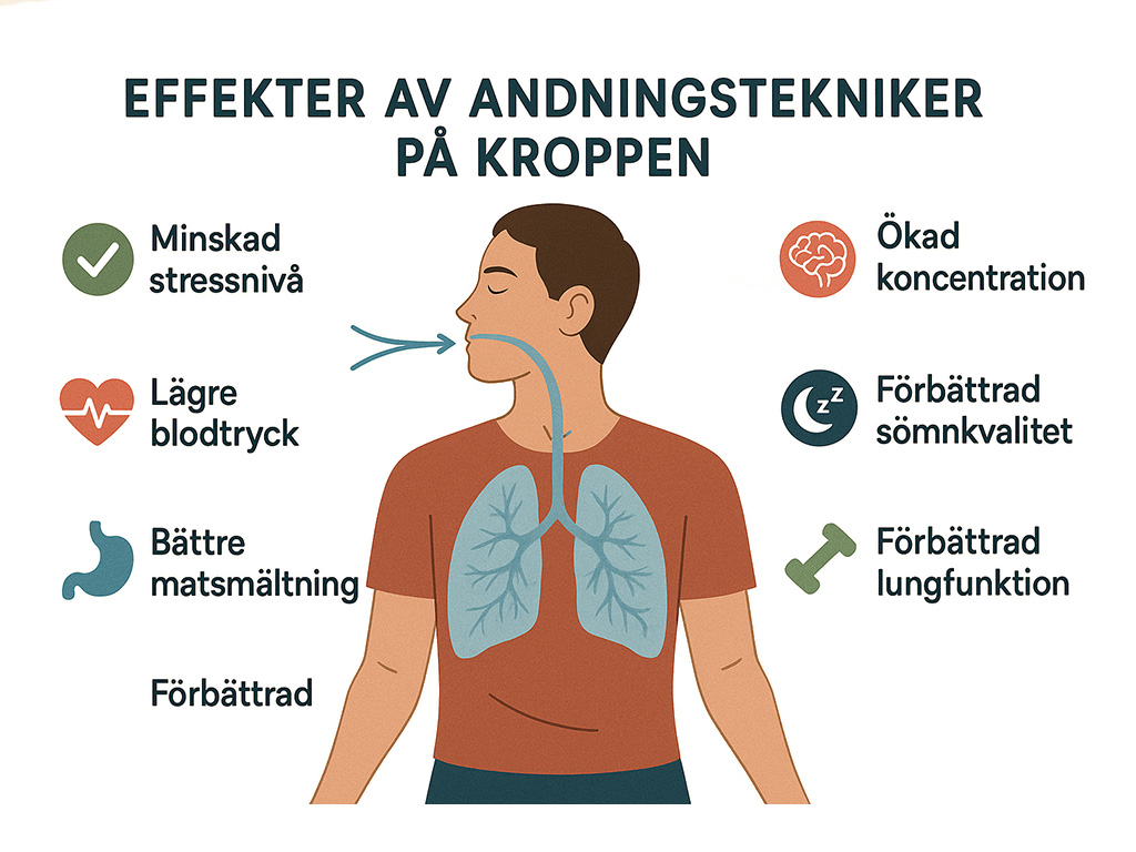 Infografik som visar andningsteknikernas effekter på kroppen